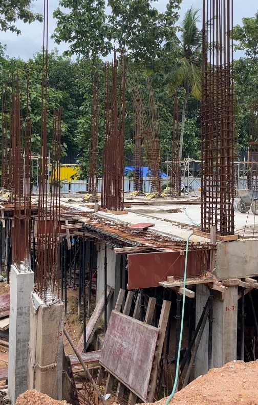 cordon vistara work update may 2026
